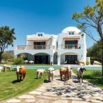 Property 160 - 50 acres